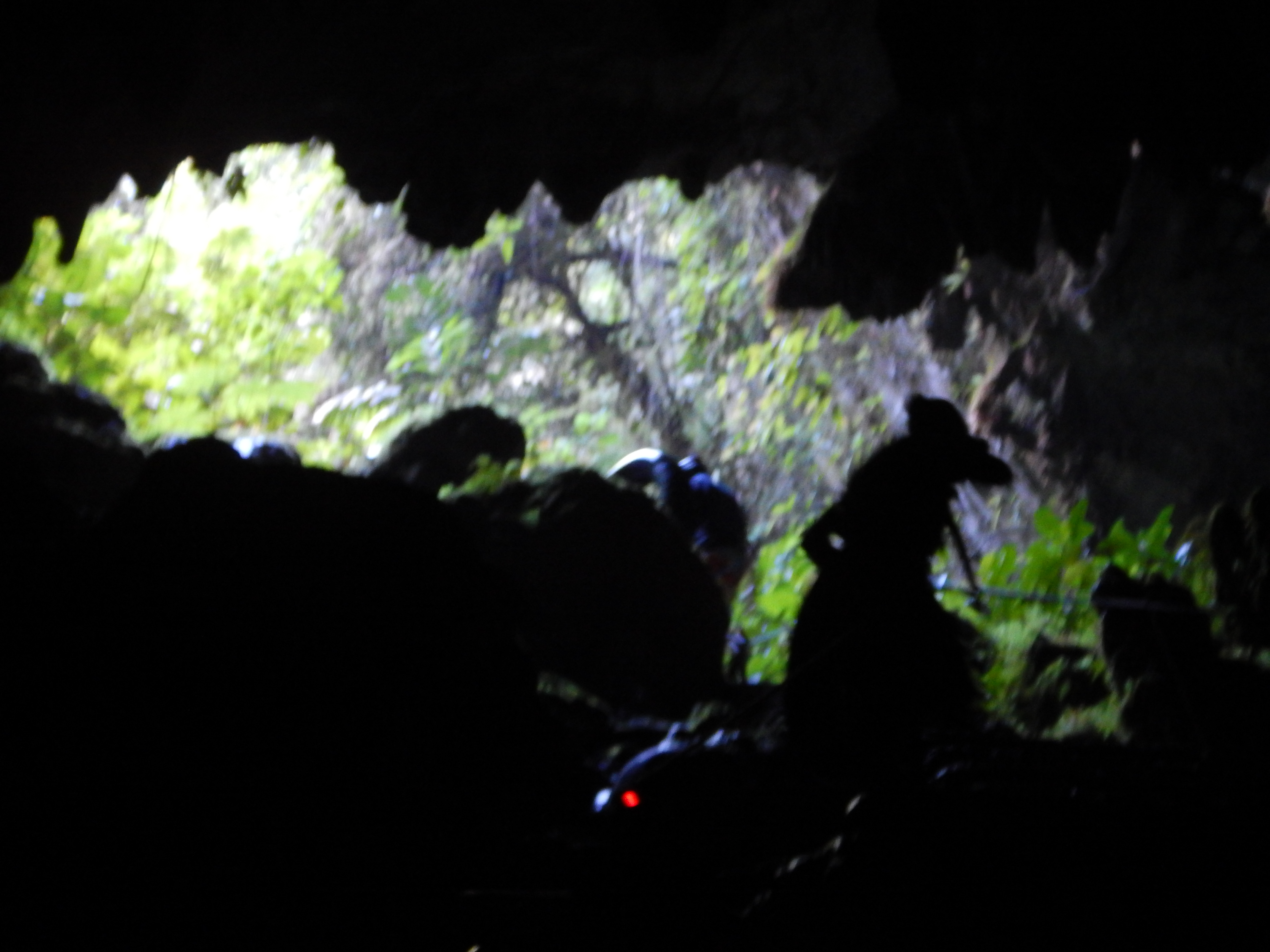 DSCN0083